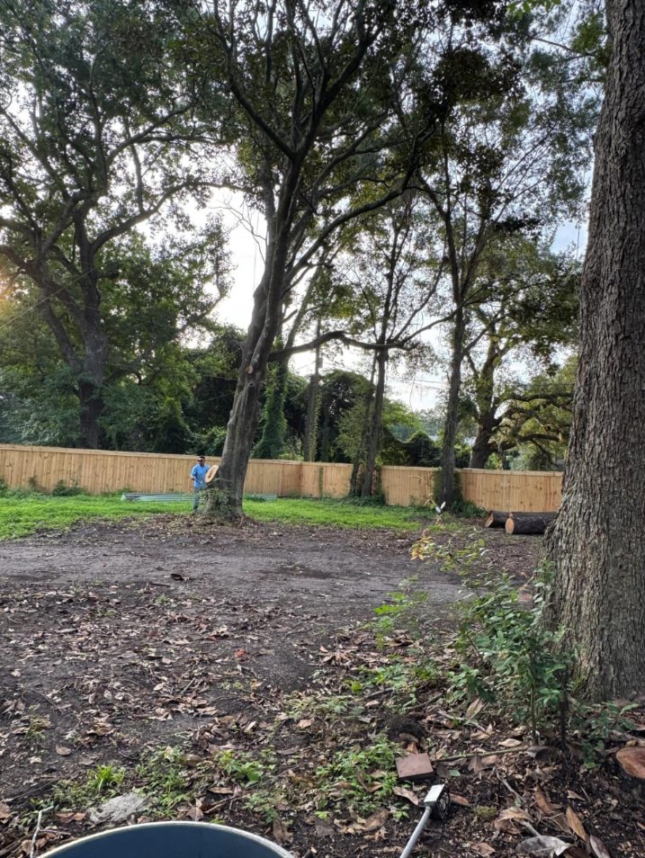 Lion Tree Service and Landscaping LLC project photo 18
